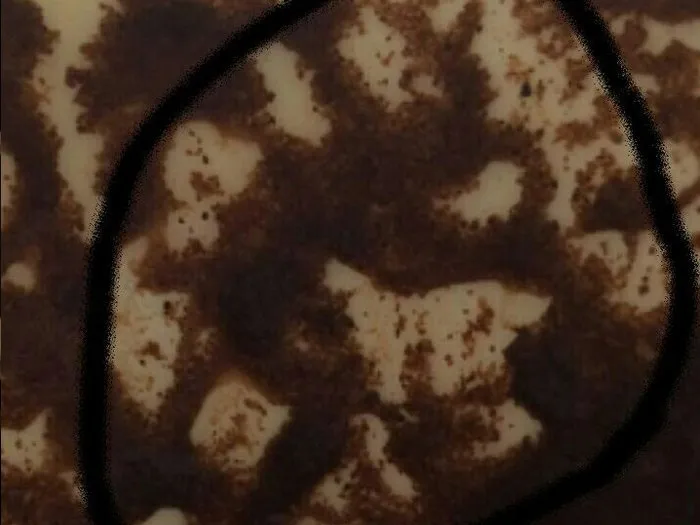 Запись на сеанс к потомственной гадалке в Верхней Салде